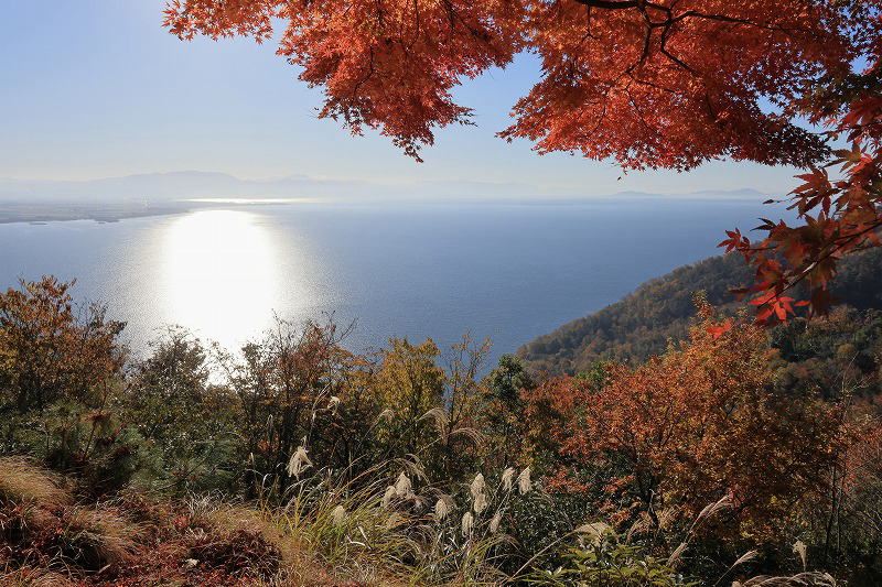 奥琵琶湖ﾊﾟｰｸｳｪｲ